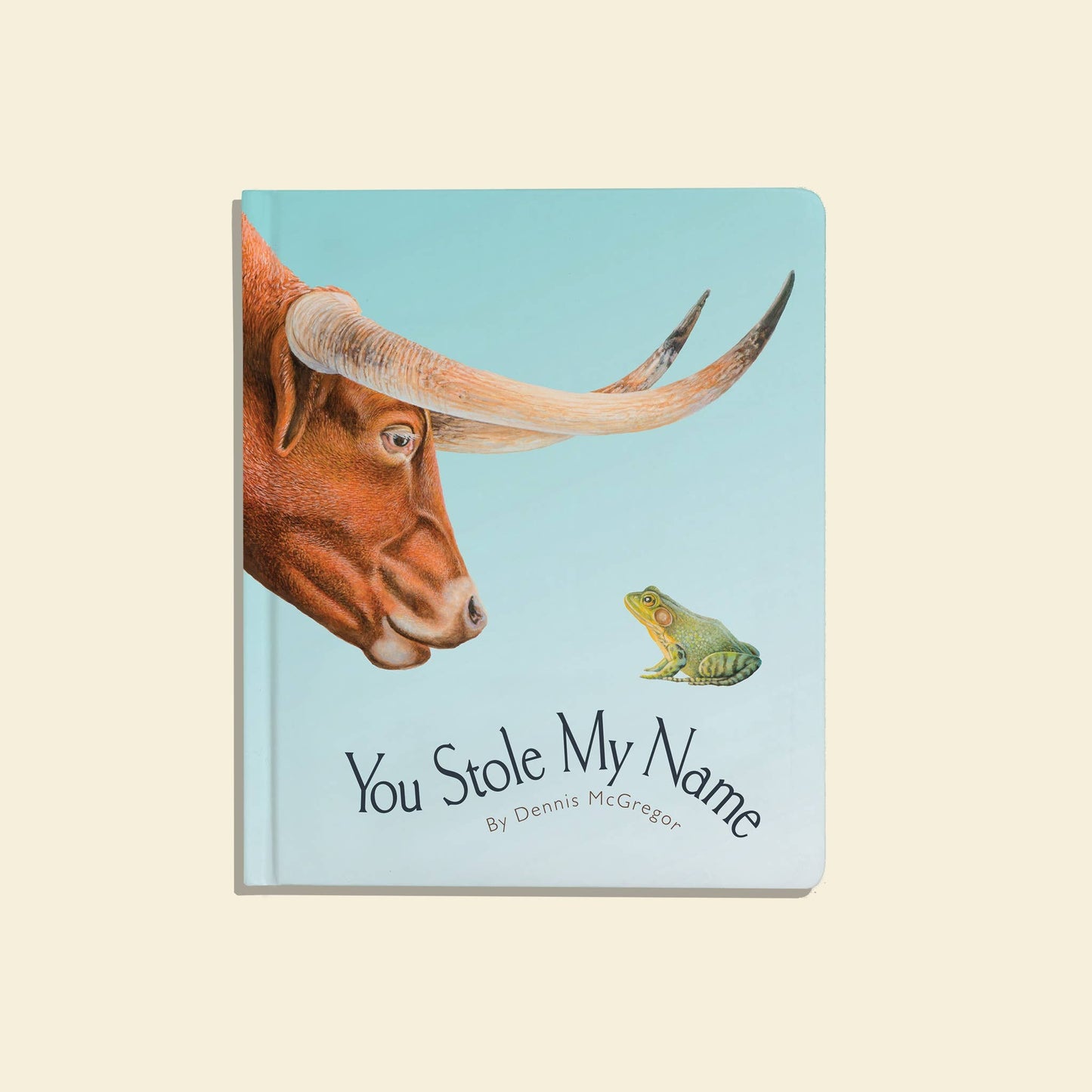 You Stole My Name Book