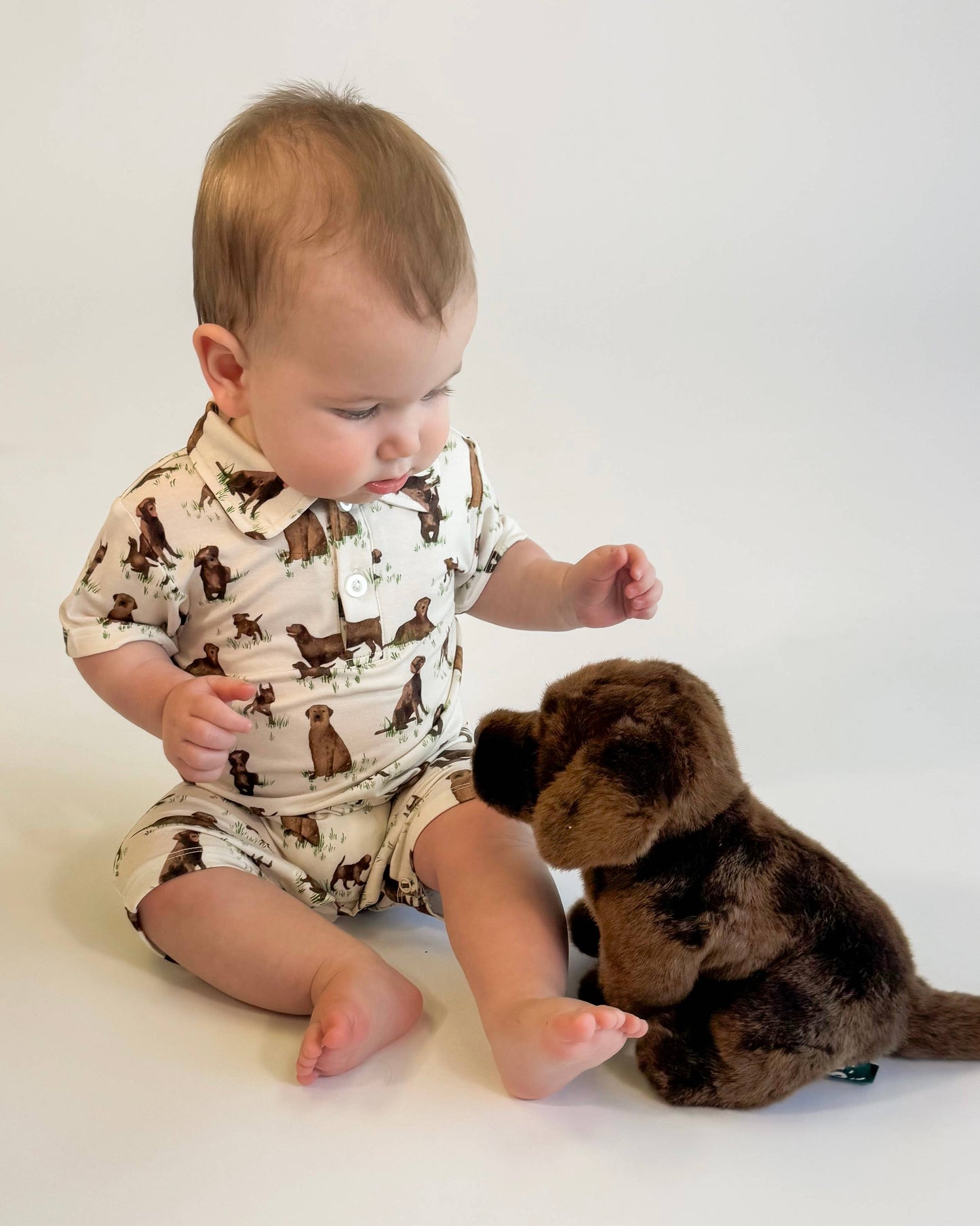 Chocolate Lab Dogs Polo Romper
