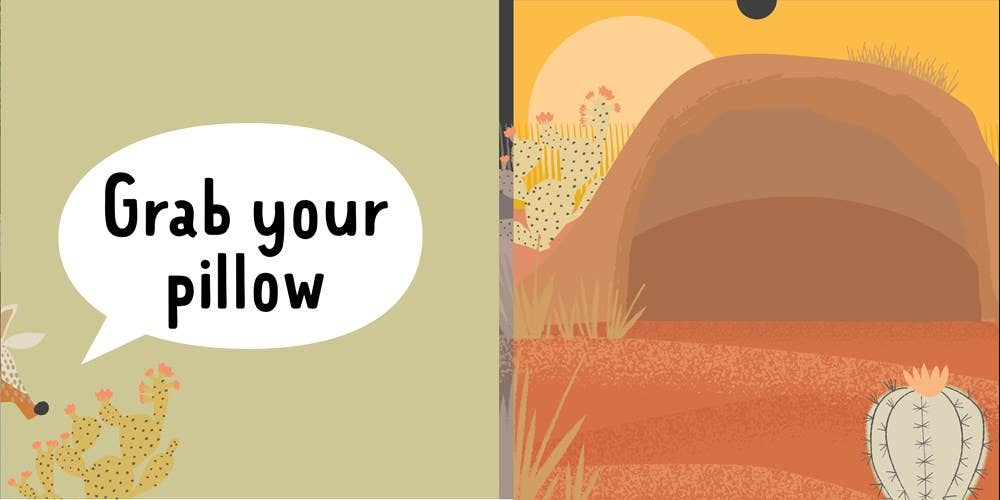 Grab Your Pillow, Armadillo Childrens Book