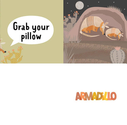 Grab Your Pillow, Armadillo Childrens Book