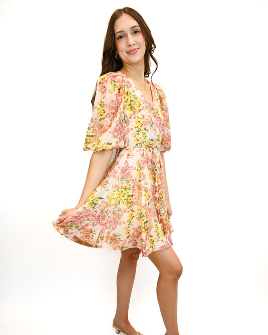 Alexis Belted Mini Dress