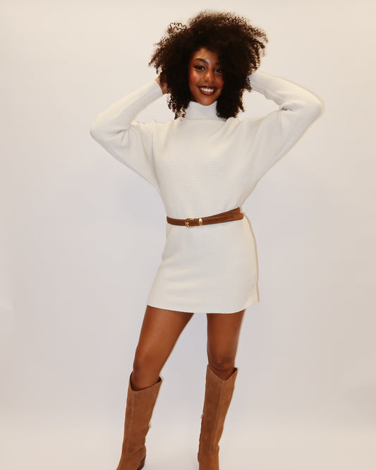 Anya Turtleneck Tunic Sweater