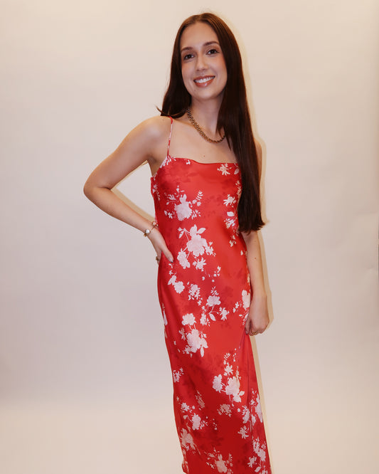 Alyse Darya Floral Maxi Dress