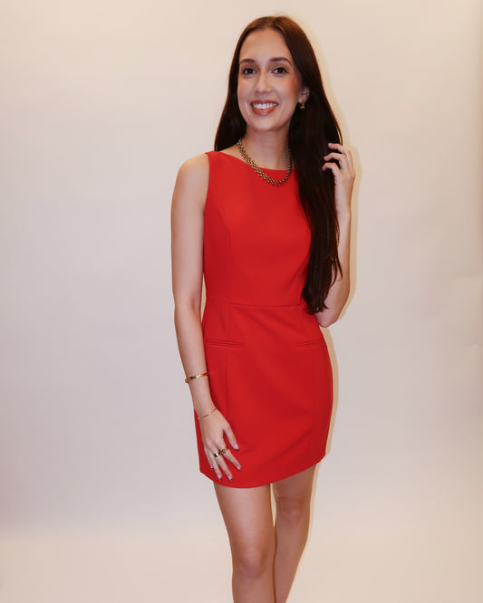 Carlie Boat Neck Mini Dress