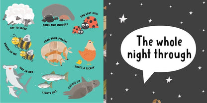 Grab Your Pillow, Armadillo Childrens Book