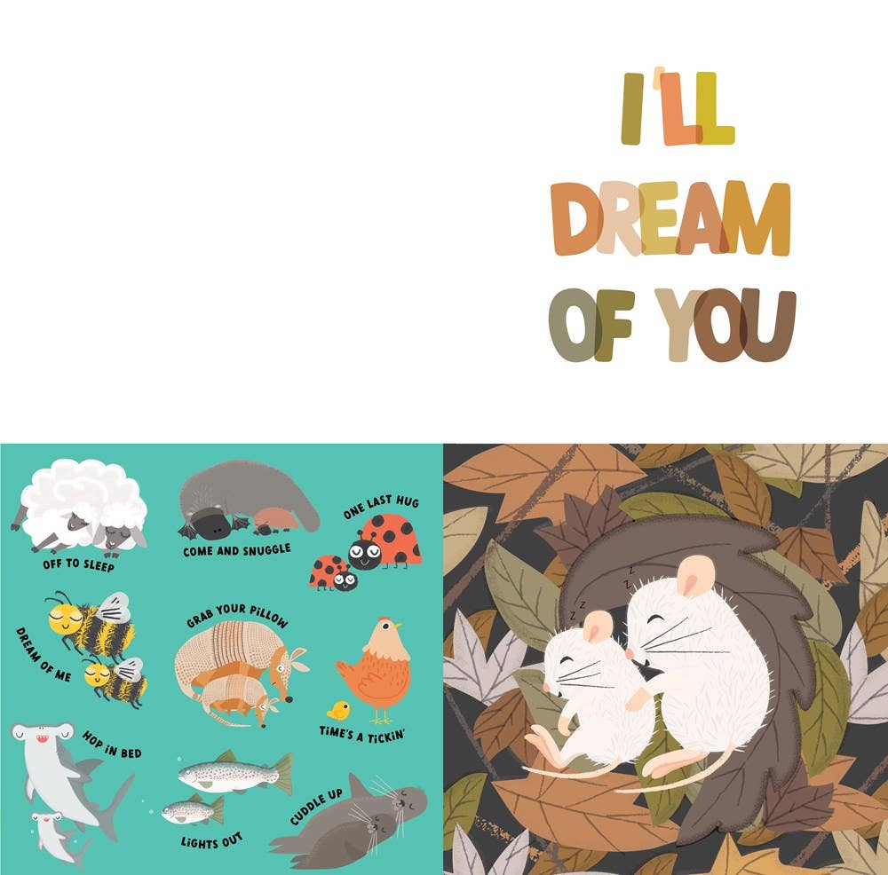 Grab Your Pillow, Armadillo Childrens Book
