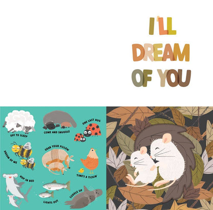 Grab Your Pillow, Armadillo Childrens Book