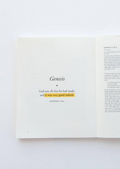 The Bible Is for You: A Devotional Journey Through Every Book of the Bible